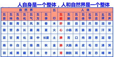 五行圖表|五行、五臟、五官、五體、五志對應表